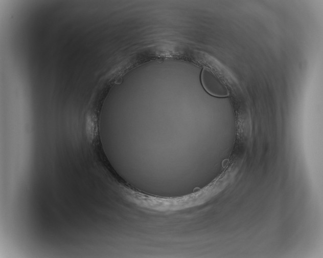 X0000102500043200808081358