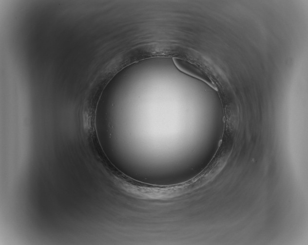 X0000102500044200808081358