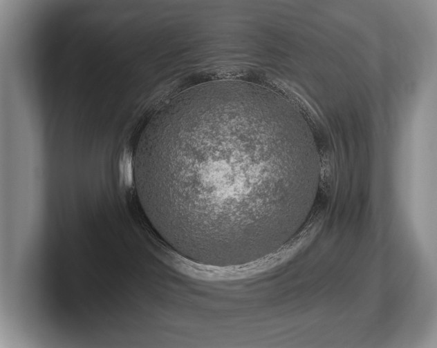 X0000102500046200808081358