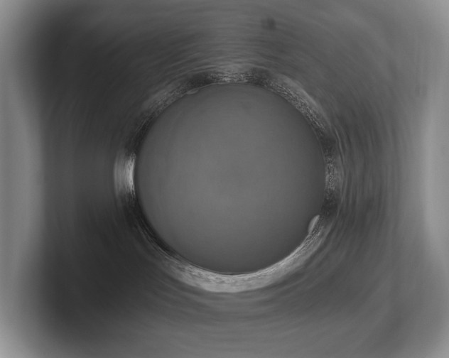 X0000102500047200808081358