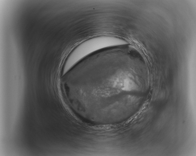 X0000102500049200808081357