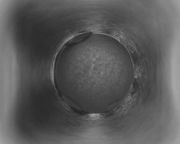 X0000102500052200808081357