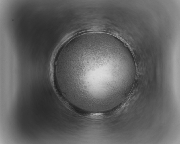 X0000102500055200808081357