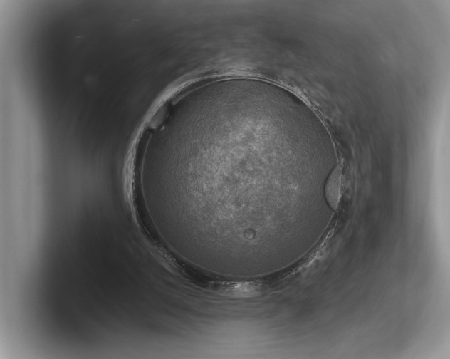 X0000102500056200808081357