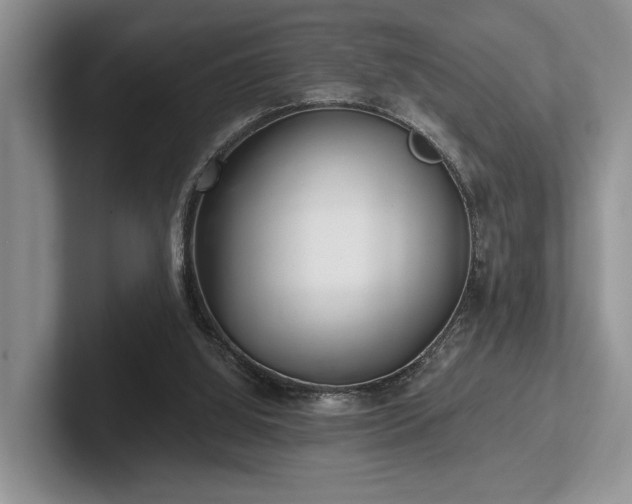 X0000102500060200808081357