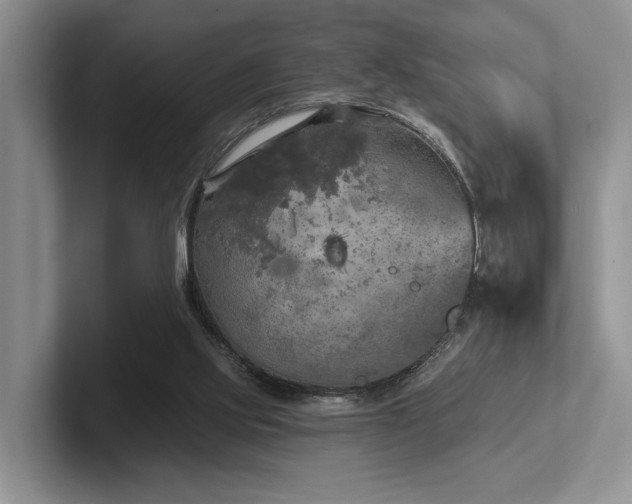 X0000102500061200808081357