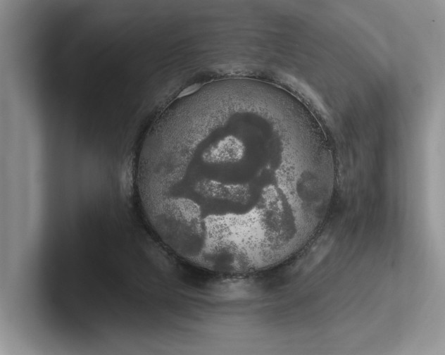 X0000102500065200808081357