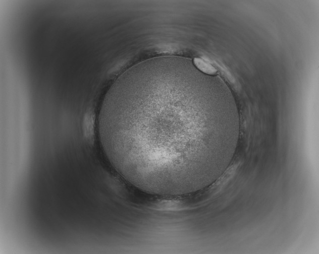 X0000102500066200808081357