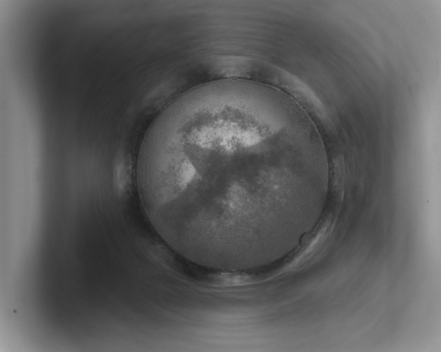 X0000102500073200808081357