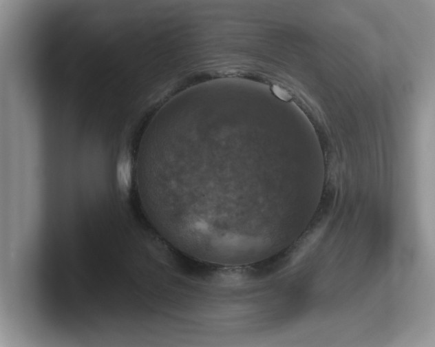 X0000102500076200808081357