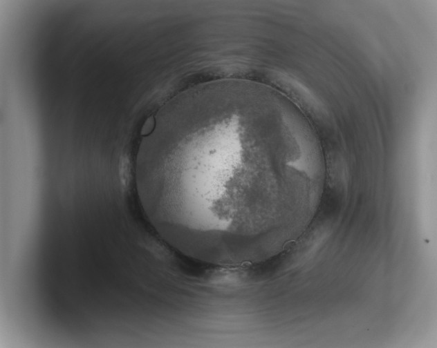 X0000102500077200808081358