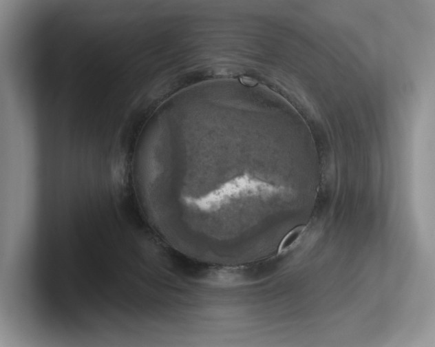 X0000102500078200808081358