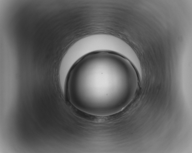 X0000102500080200808081358