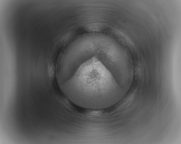 X0000102500081200808081358