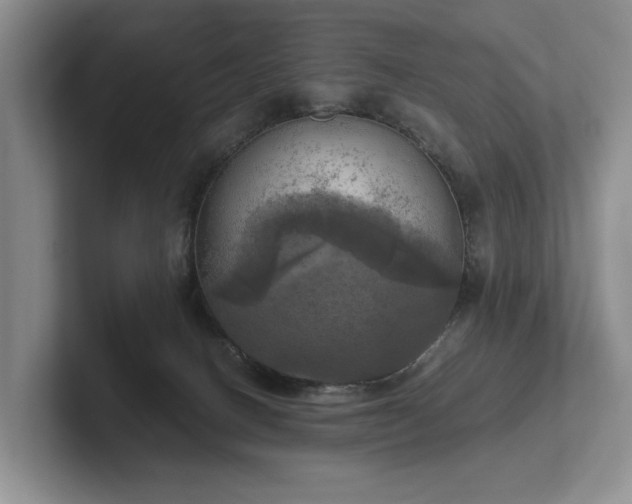 X0000102500082200808081358