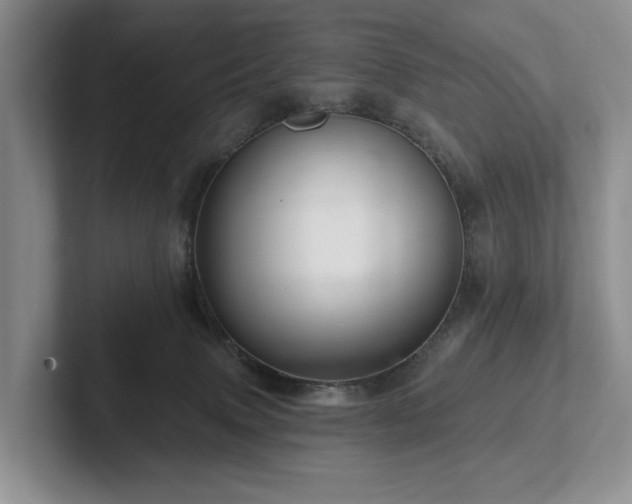 X0000102500083200808081358