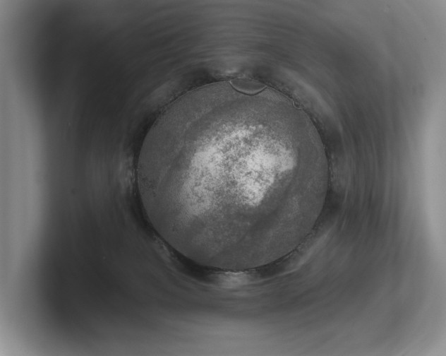 X0000102500085200808081358