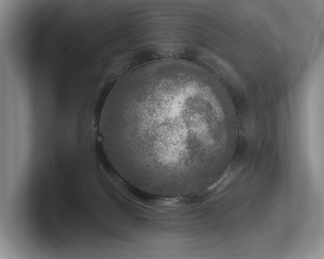 X0000102500086200808081358