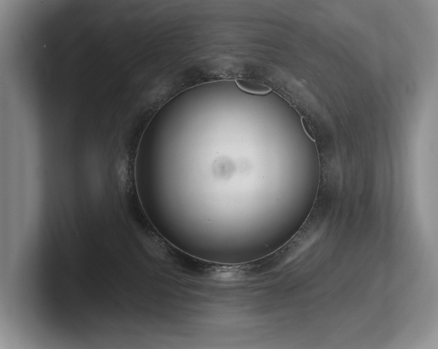 X0000102500088200808081358