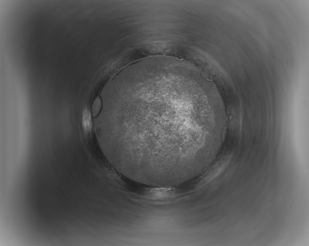 X0000102500089200808081358