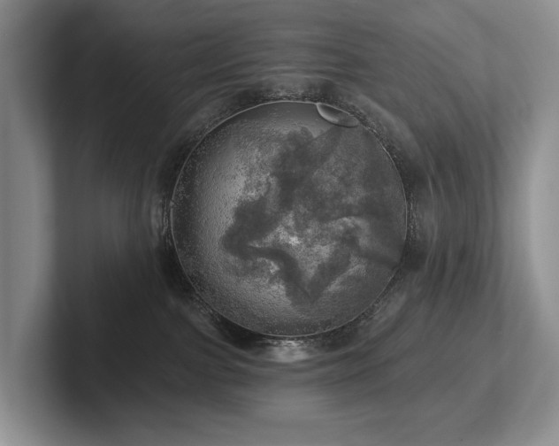 X0000102500091200808081358