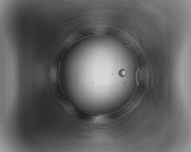 X0000102500092200808081358