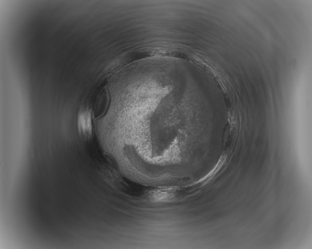 X0000102500094200808081358