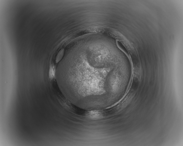 X0000102500095200808081358