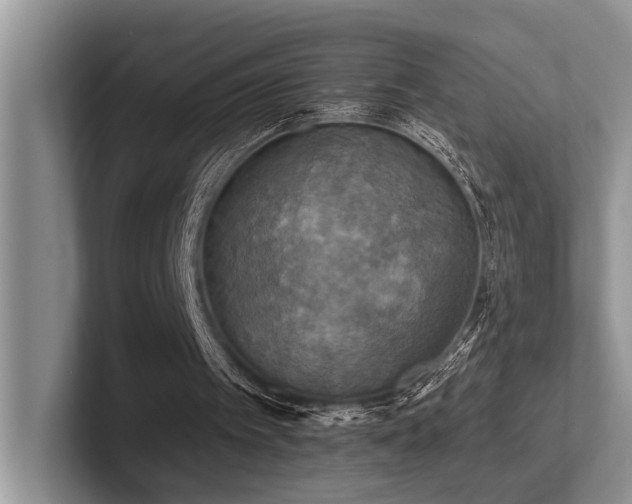 X0000102500097200808081357