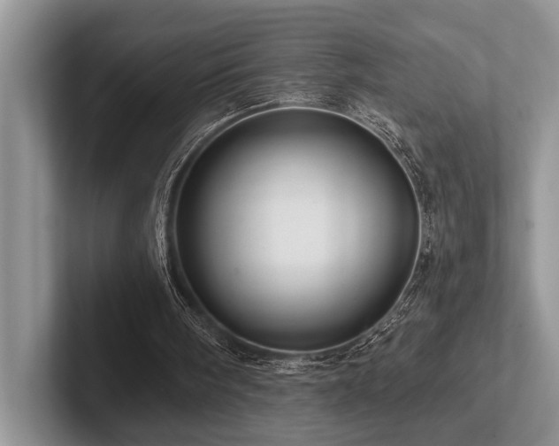 X0000102500098200808081357