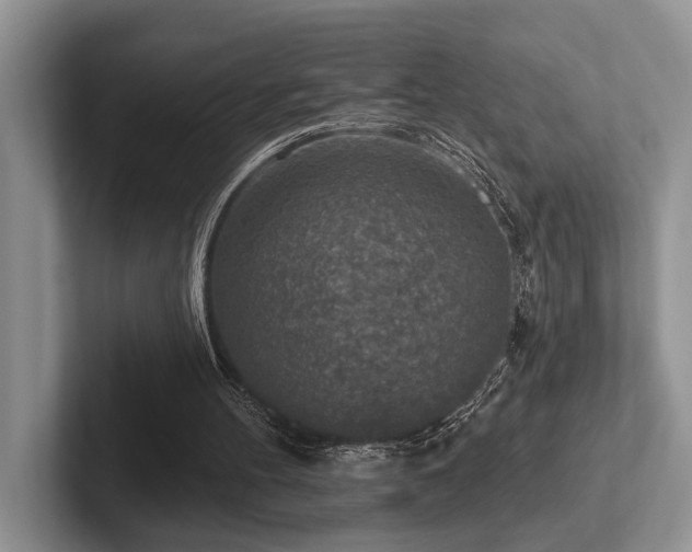 X0000102500100200808081357