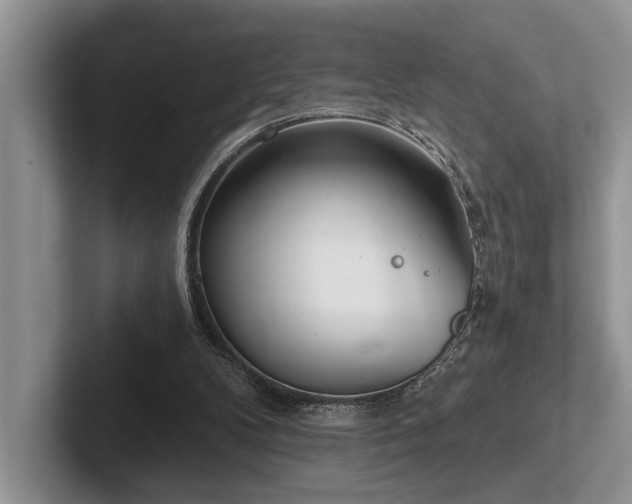 X0000102500104200808081357