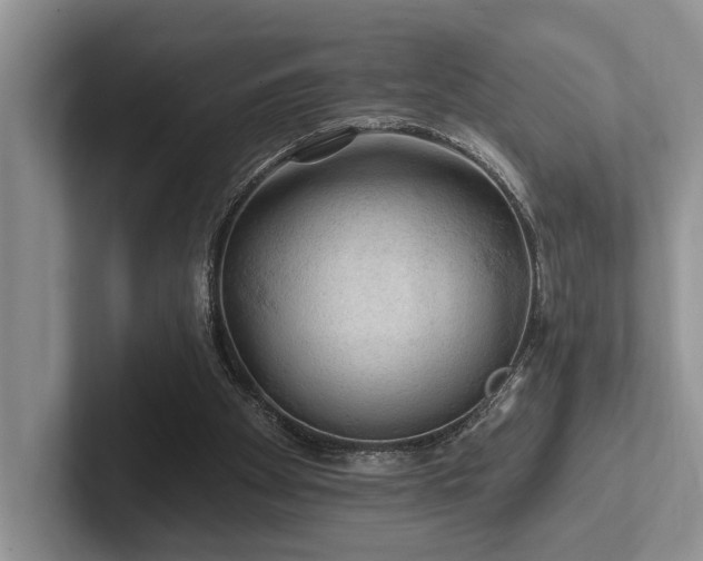 X0000102500105200808081357