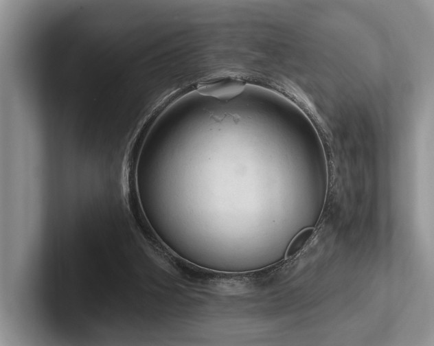 X0000102500106200808081357