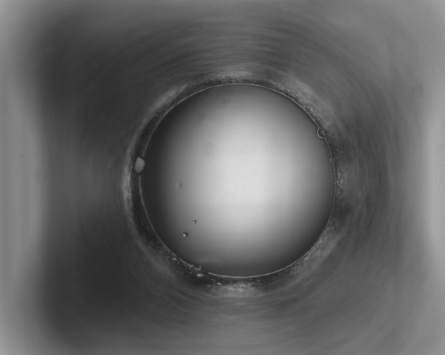 X0000102500112200808081357