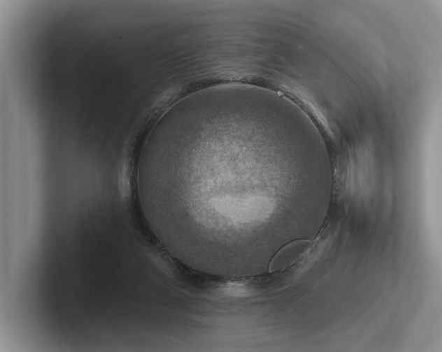 X0000102500114200808081357