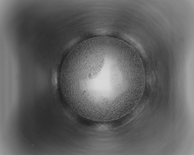 X0000102500115200808081357