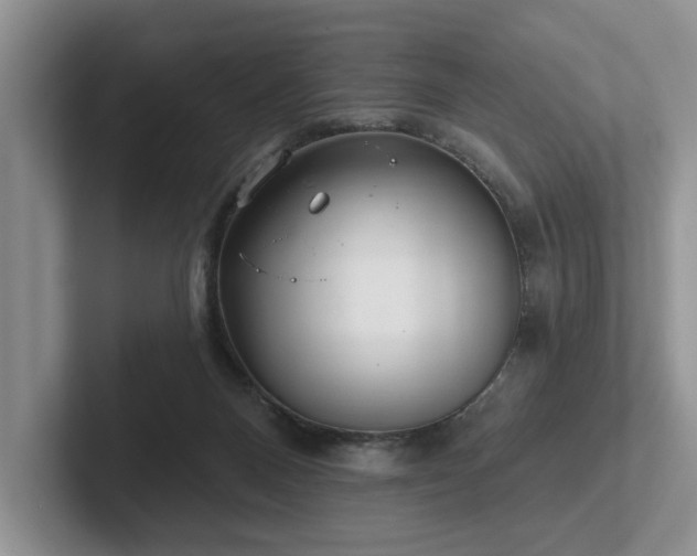 X0000102500120200808081357