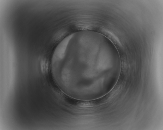 X0000102500123200808081357