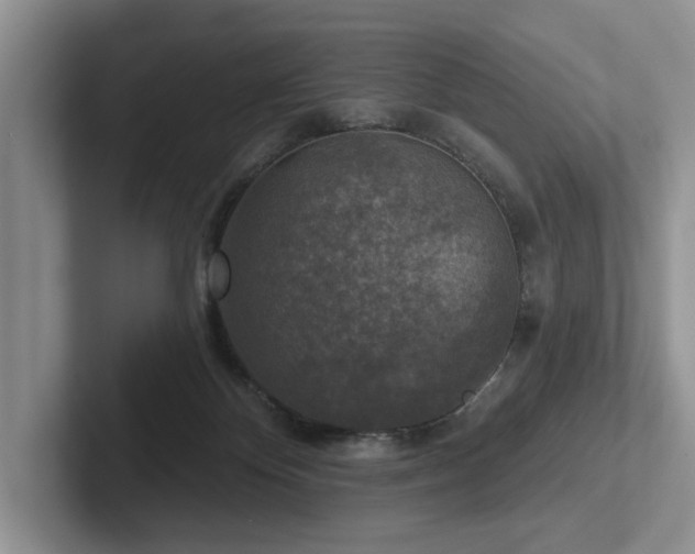 X0000102500124200808081357