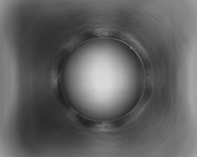 X0000102500125200808081357