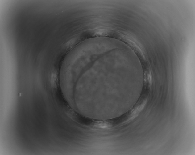 X0000102500127200808081357