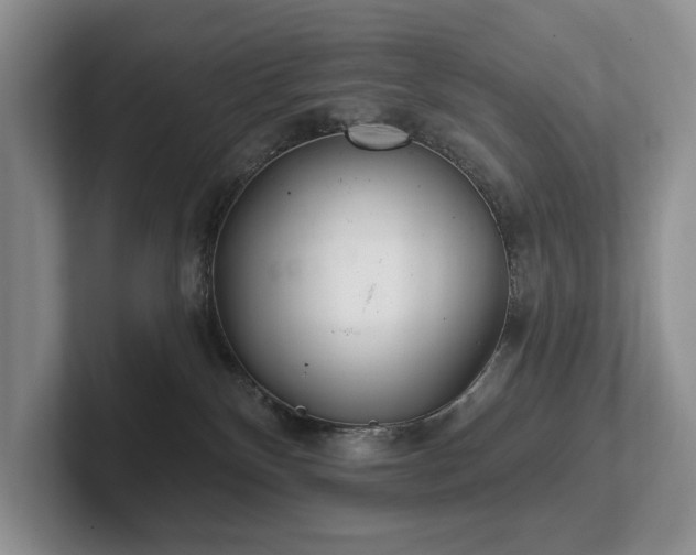 X0000102500136200808081357