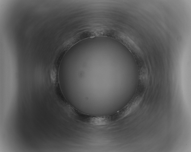 X0000102500139200808081357