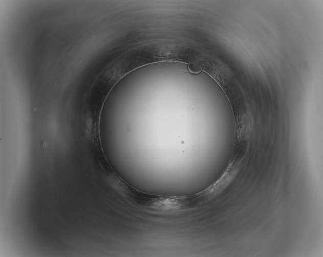 X0000102500140200808081357