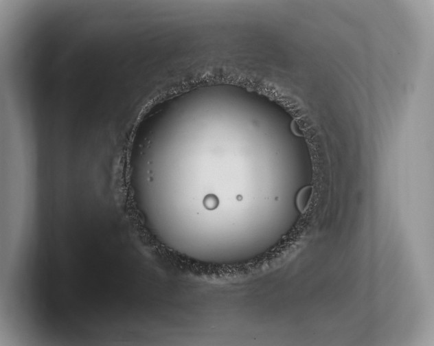 X0000102500144200808081356