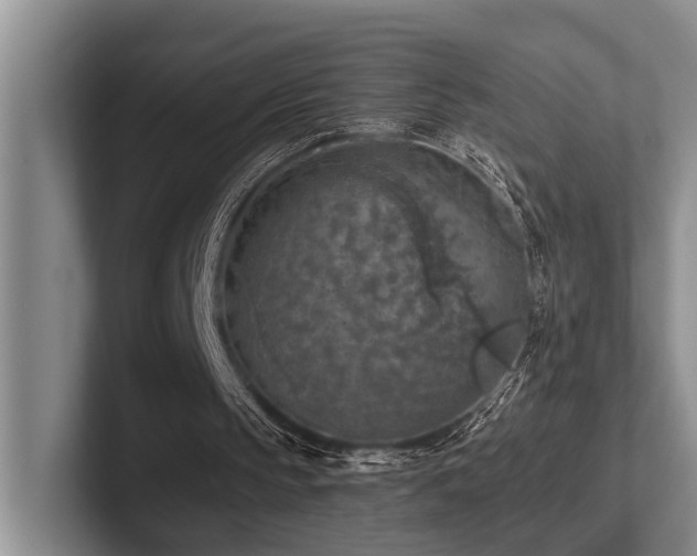 X0000102500145200808081356