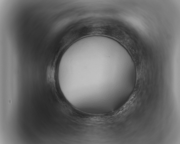 X0000102500146200808081356