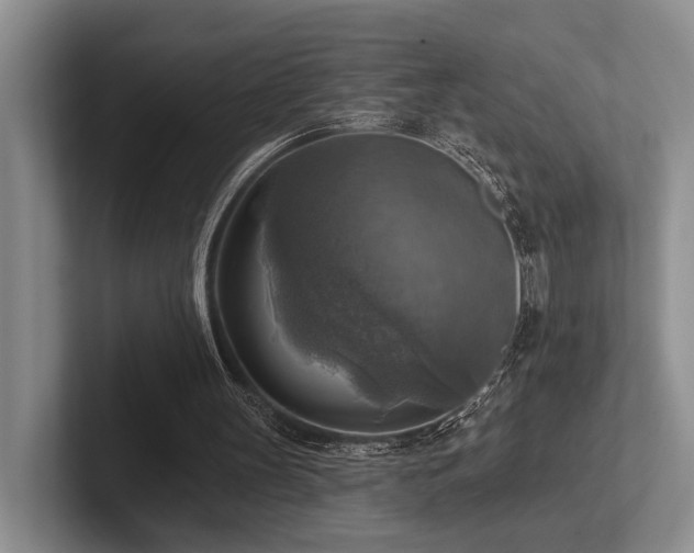 X0000102500147200808081356