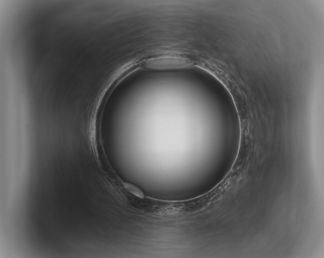 X0000102500148200808081356